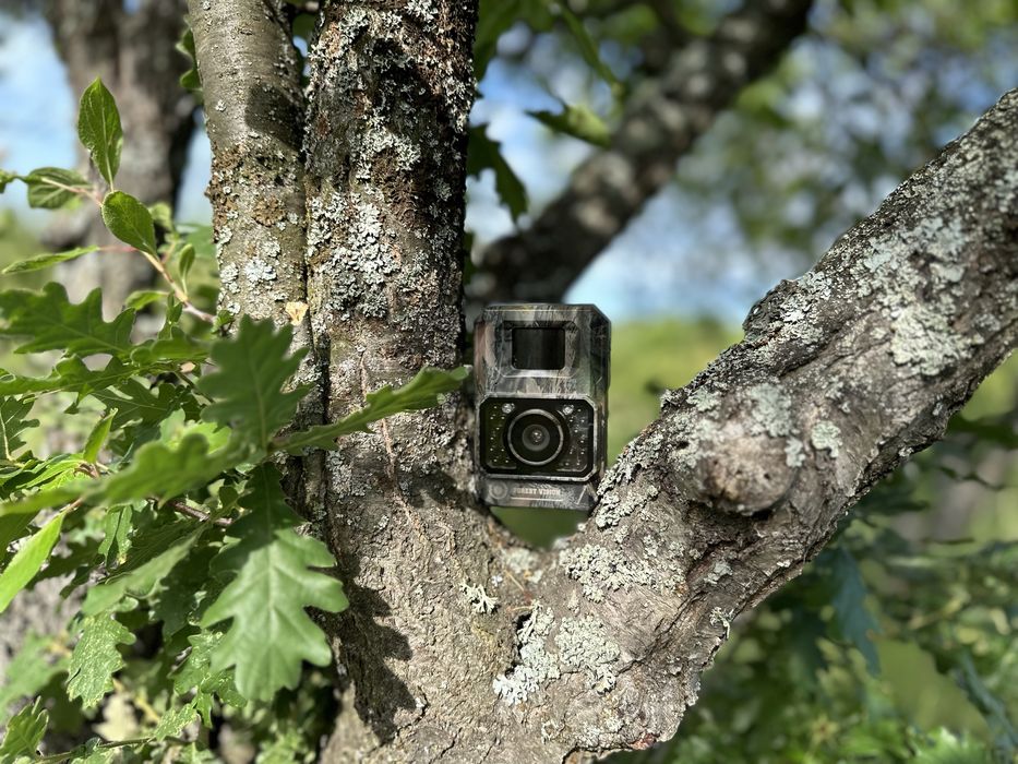 Camera vanatoare Forestvision Alpha 48mp Wifi si stocare pe card sd