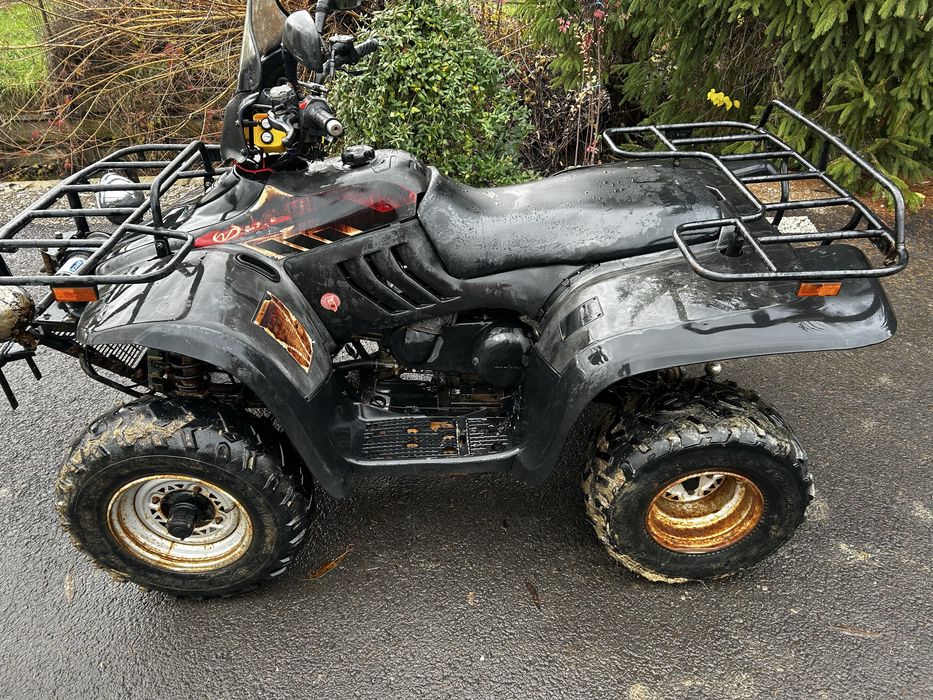 Linhai 300 2x4.      .