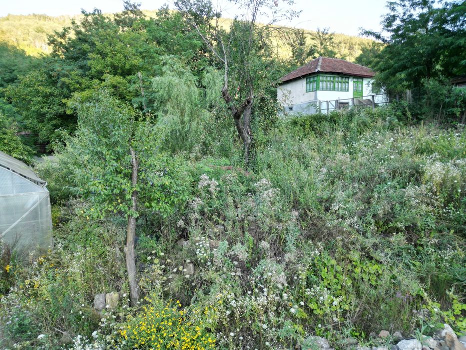 Teren intravilan de vanzare
