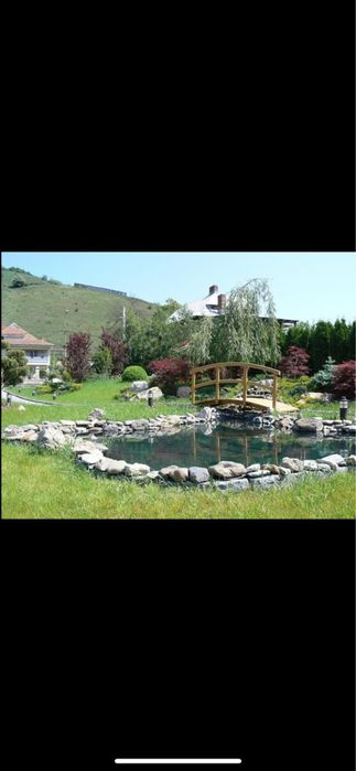 Amenajari gradini , gazon rulou&plante