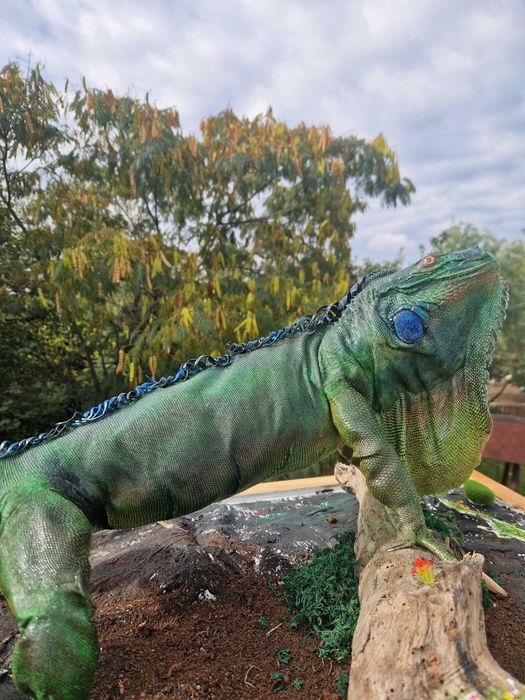 Iguana exotica impaiata