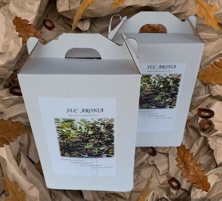 Suc aronia din fructe bio