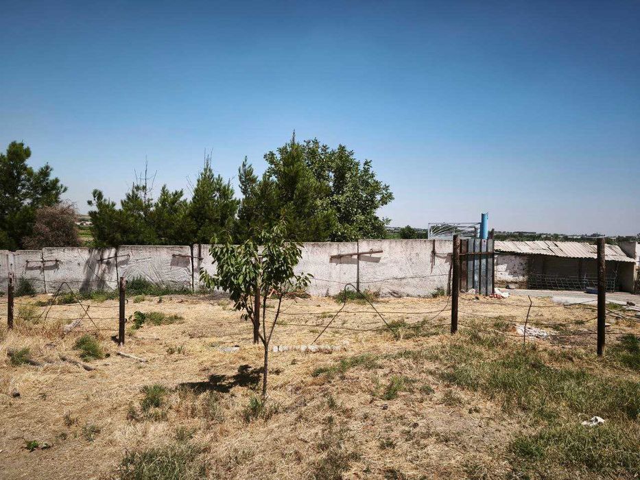 Yu  Фермерское хозяйство 20 соток, пашня 5 га колхоз Туркистон