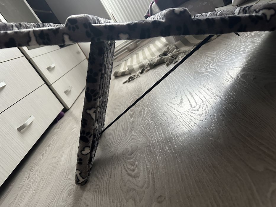 Rampa animale de companie