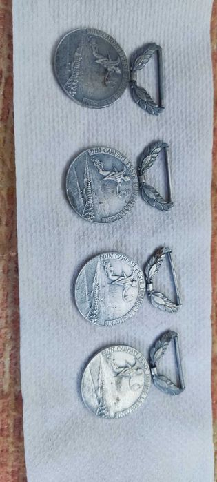 Medalie din Carpați peste Dunăre în Balcani 1913