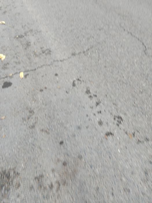 асфальт мощный сочный