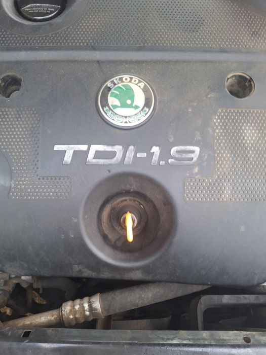 Vand Scoda Octavia1 turist