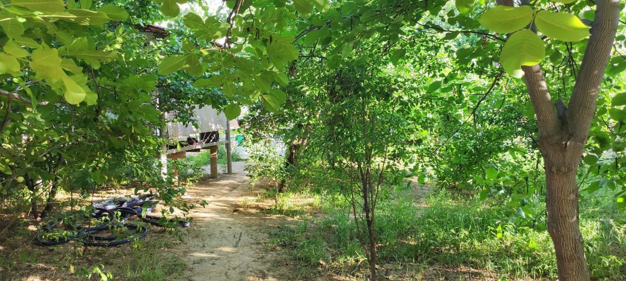 Dacha Qibray soy boʻyida 500 ming som