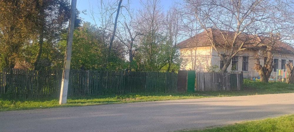 Vand Teren Merii Petchii