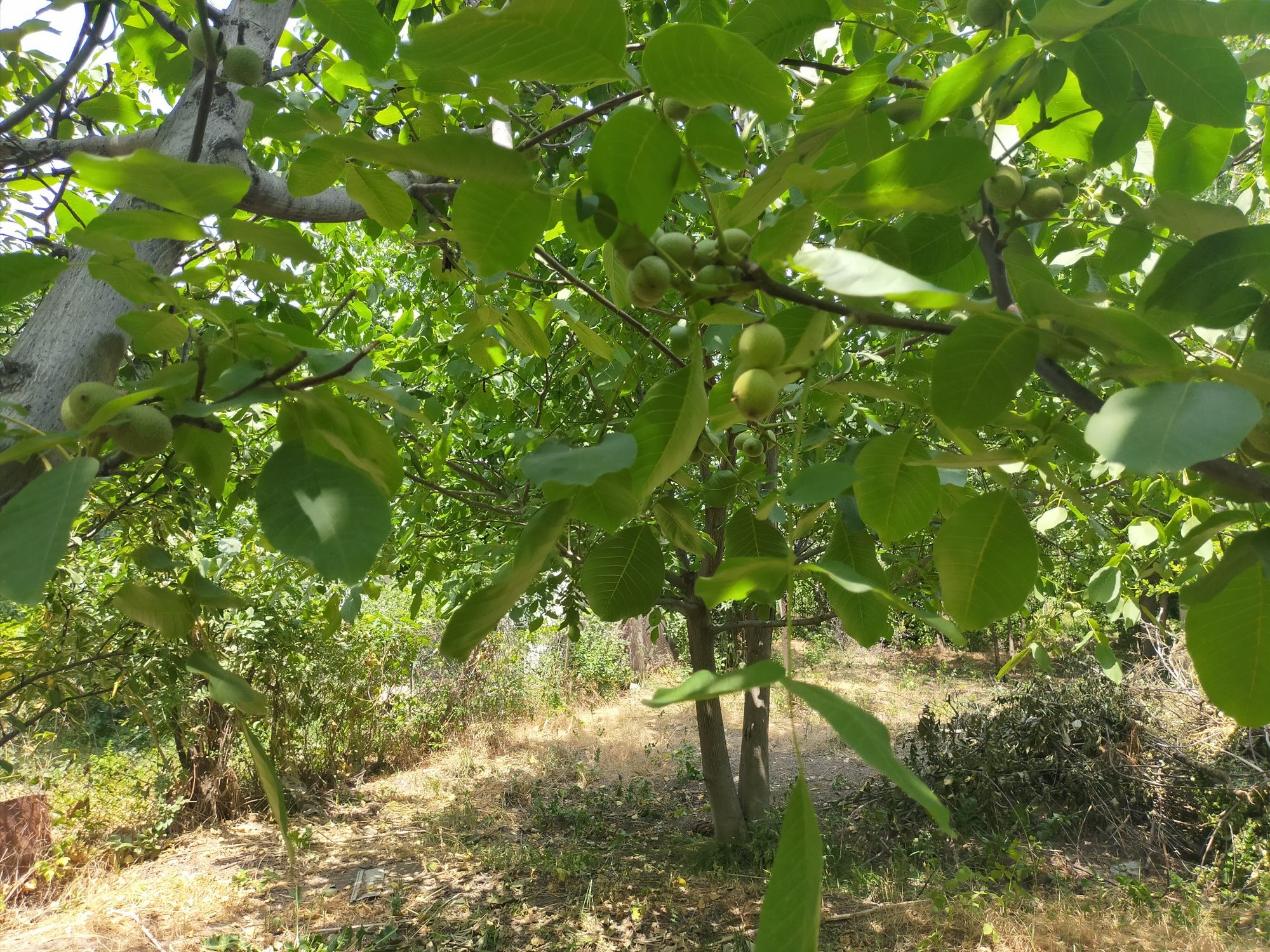 Продается дом в селе Т.Рыскулова, пер. Космонавтов 4/1