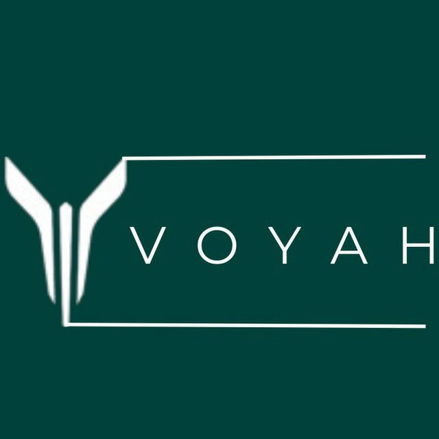 Оригинальные ароматизаторы для Voyah Free