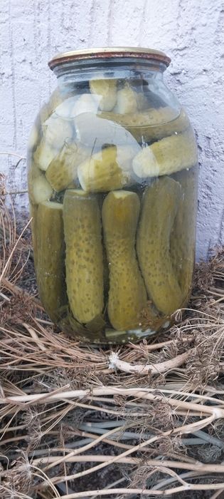 Огурцы маринованные