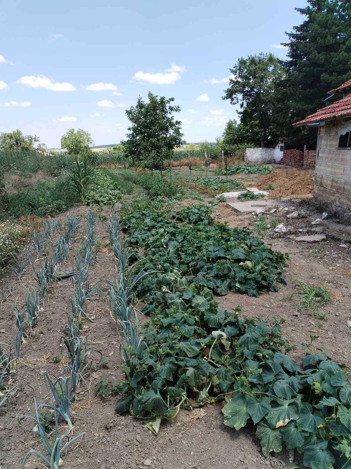 1795-Продава се едноетажна тухлена къща с гараж в село Кара Михал!