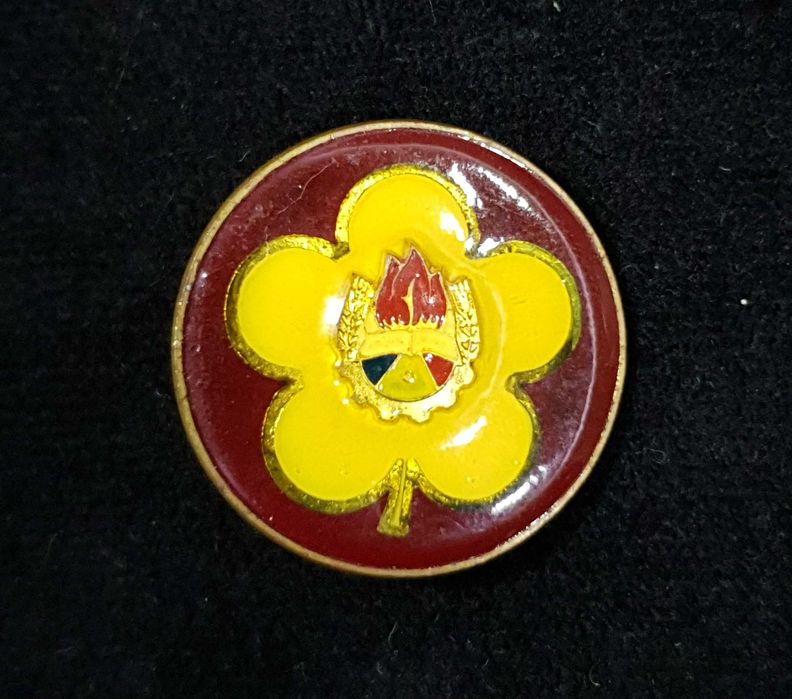 Lot insigne Pionieri - 1980-1987