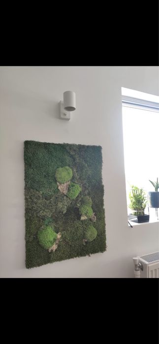 Tablou licheni si muschi naturali