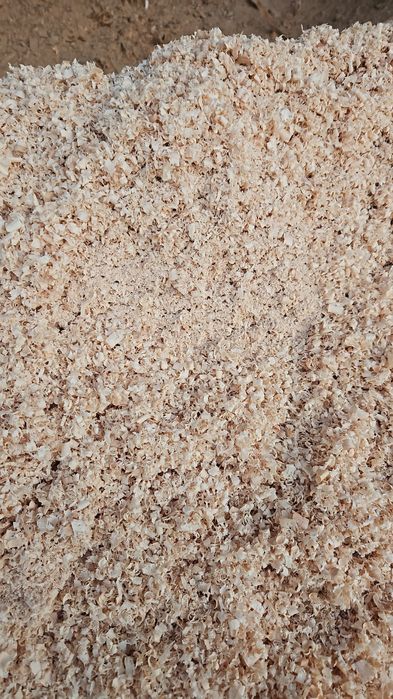 Rumegus pentru afumat