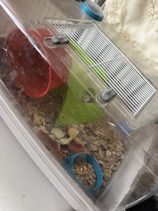 Hamster cu tot cu cusca si cu toate accesoriile