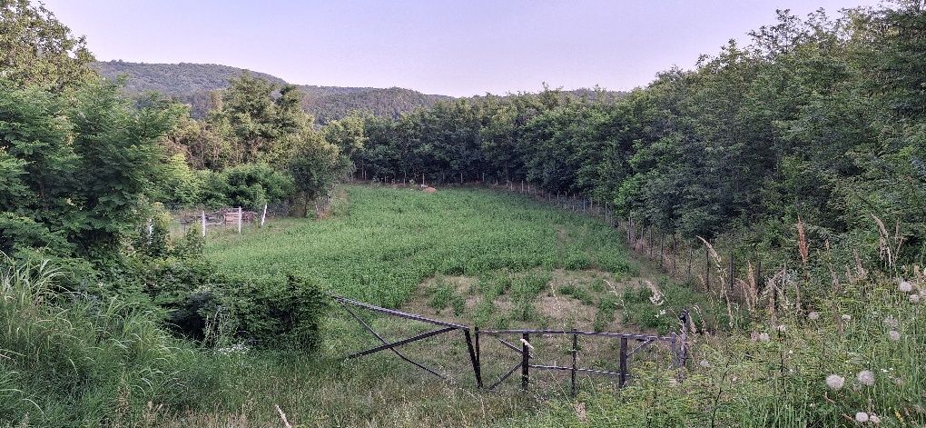 Teren intravilan