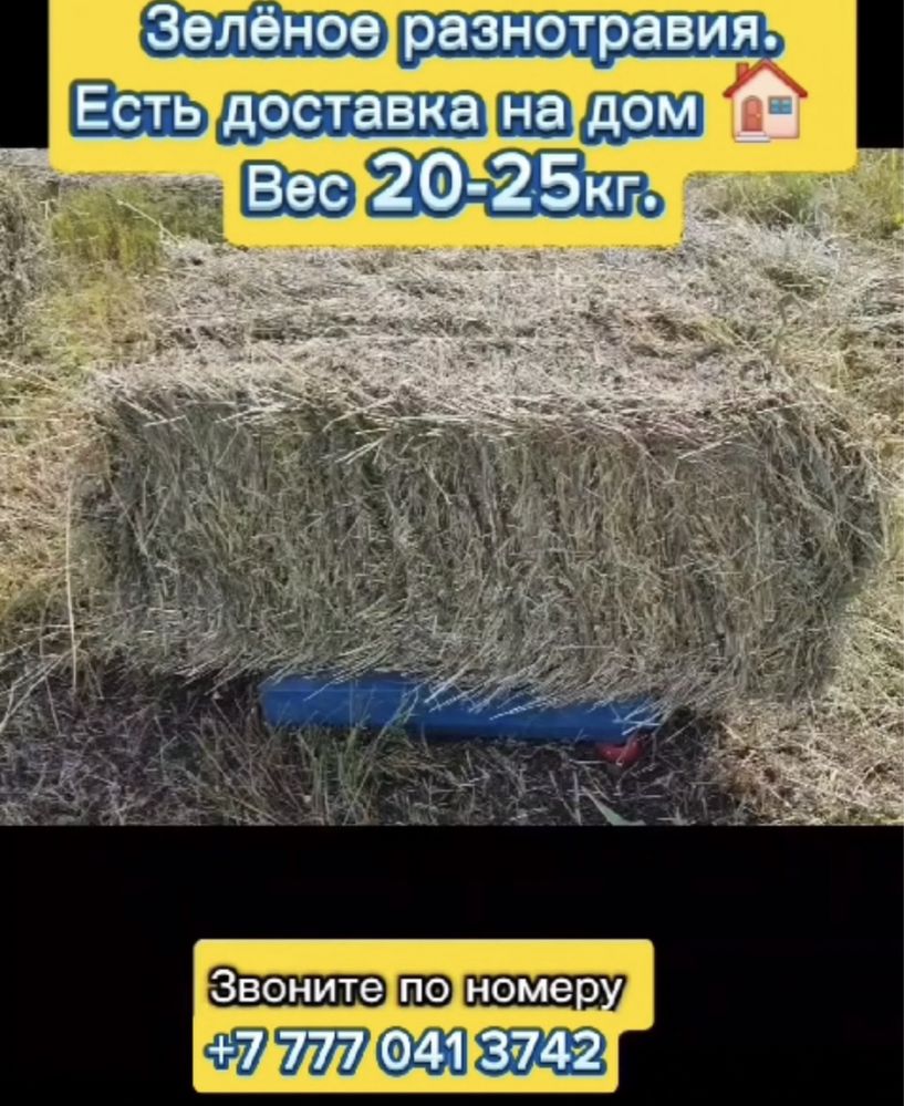 Продается сена разнотравье