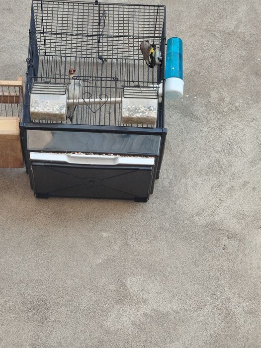 Sava sotiladi 2tasi ini bn