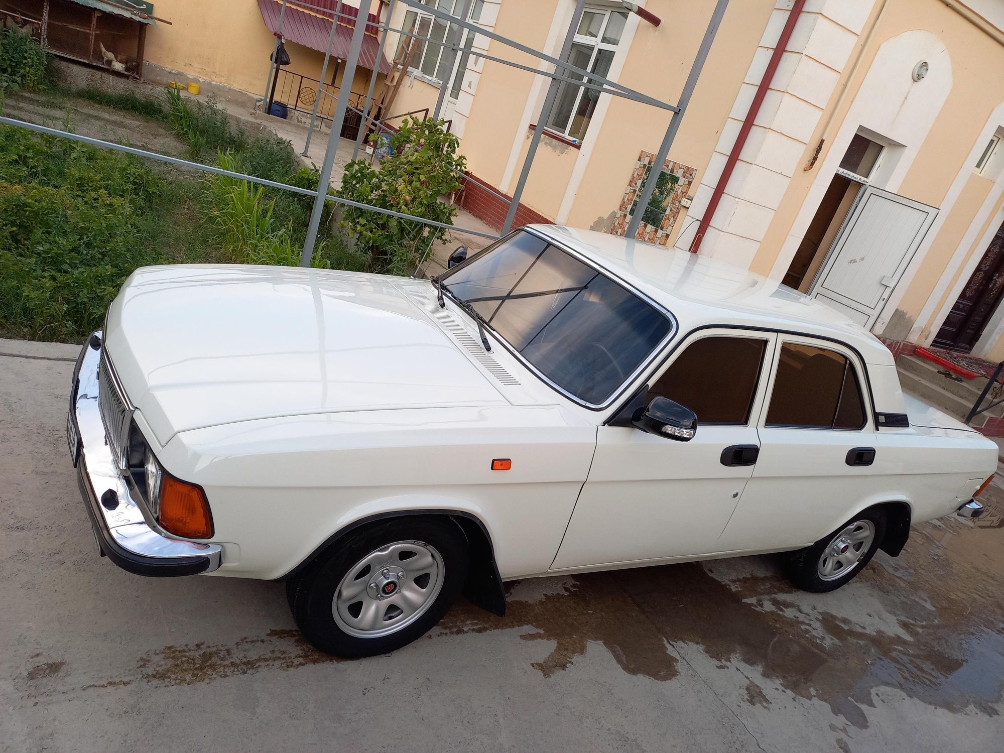 Volga 3102 holati Indial