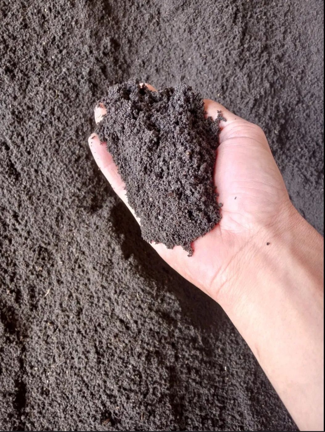 biogumus sotiladi