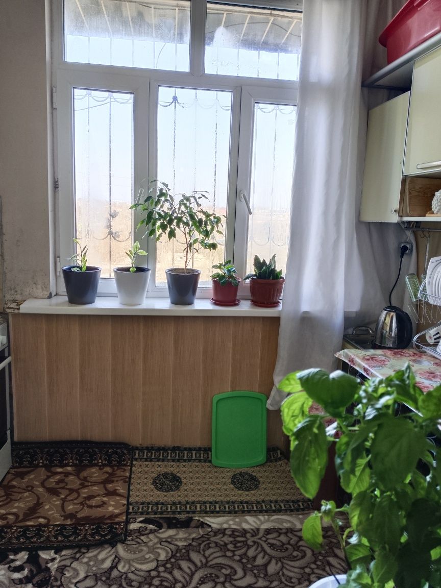 Уй сотилади 1 хонали