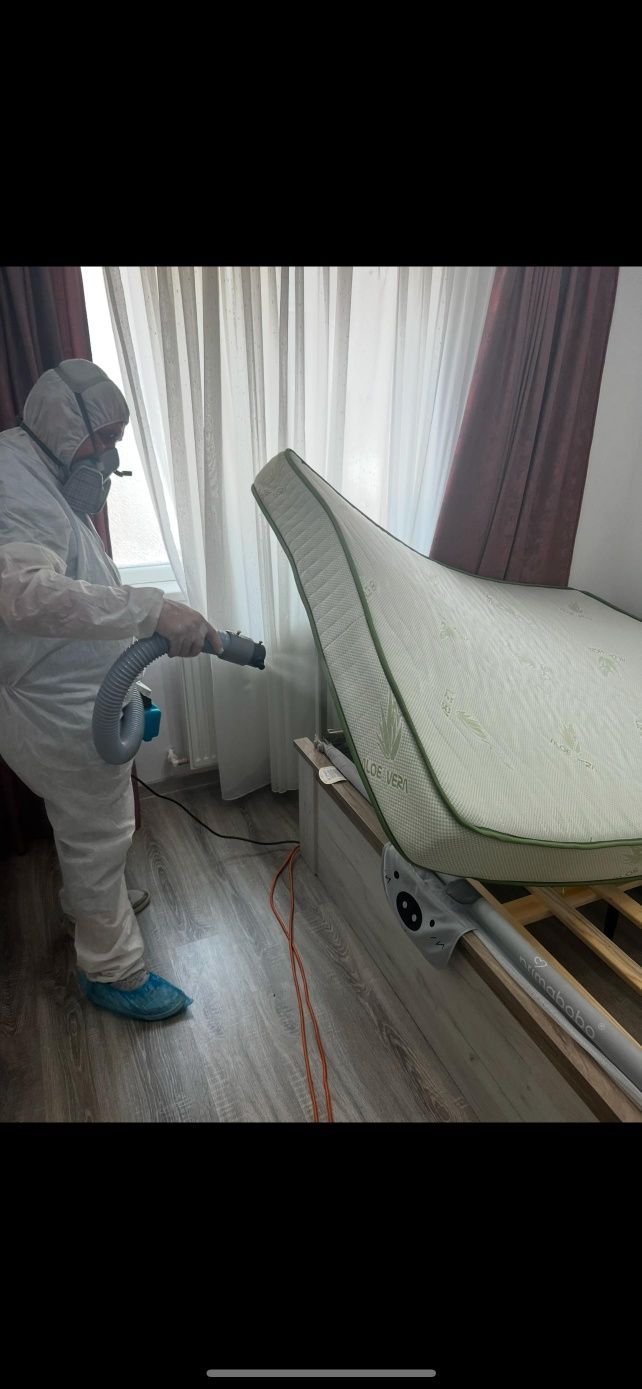 Servicii Profesionale de Dezinsectie, Dezinfectie si Deratizare