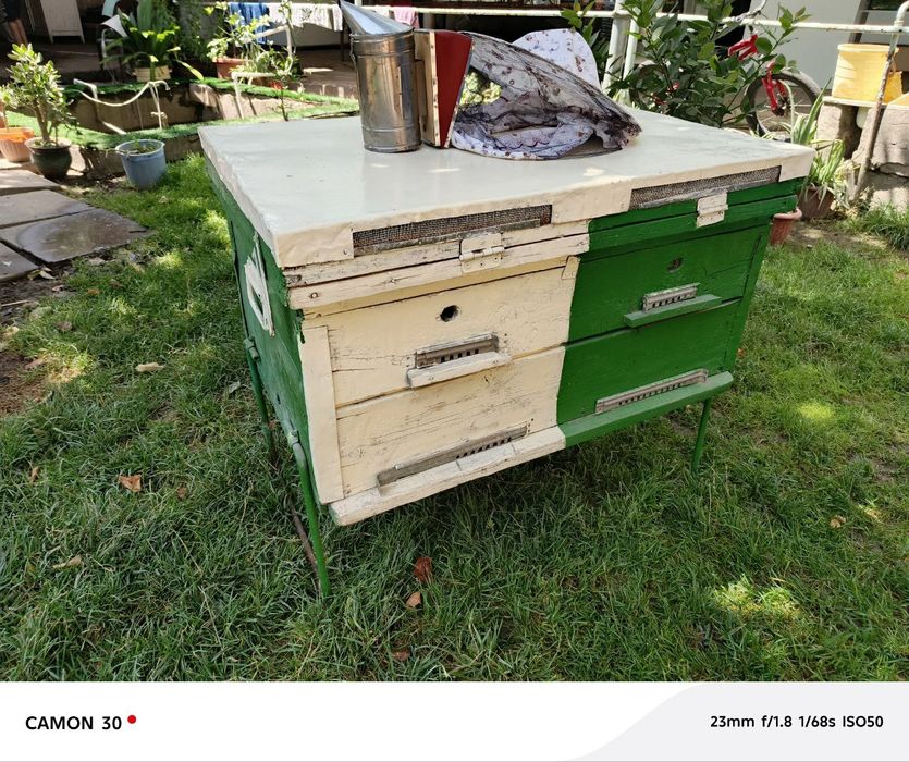 Asal ari uyasi. Komplekt