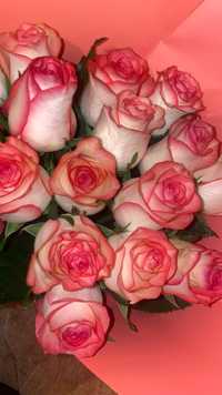 Цветы голландские роза