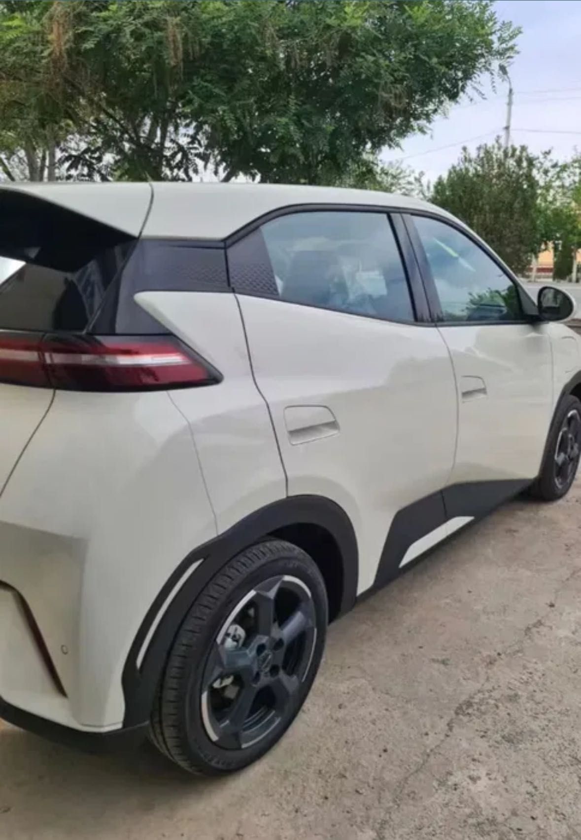 Byd segull srochna sotiladi