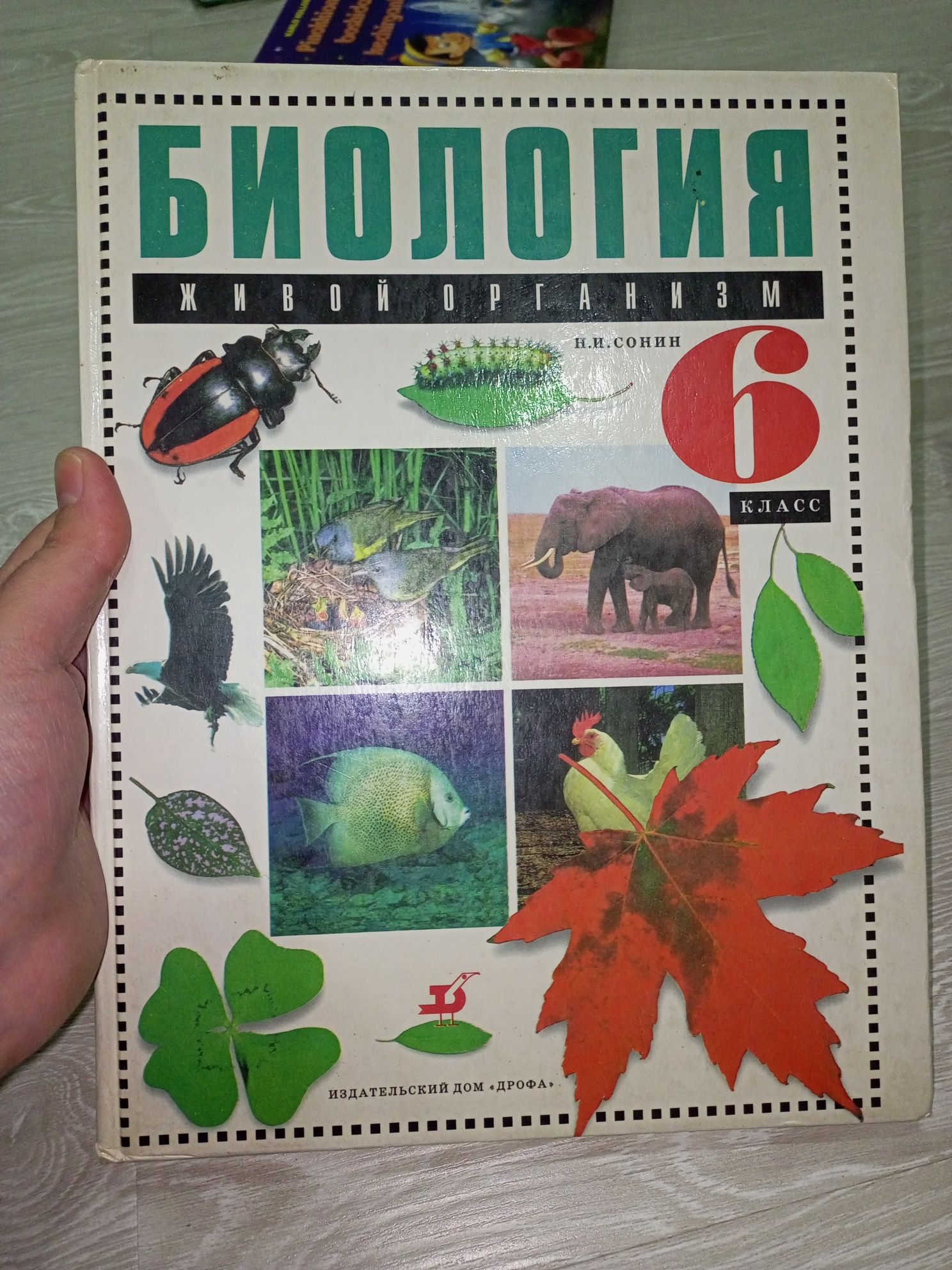 Книжки разные  на русском языке