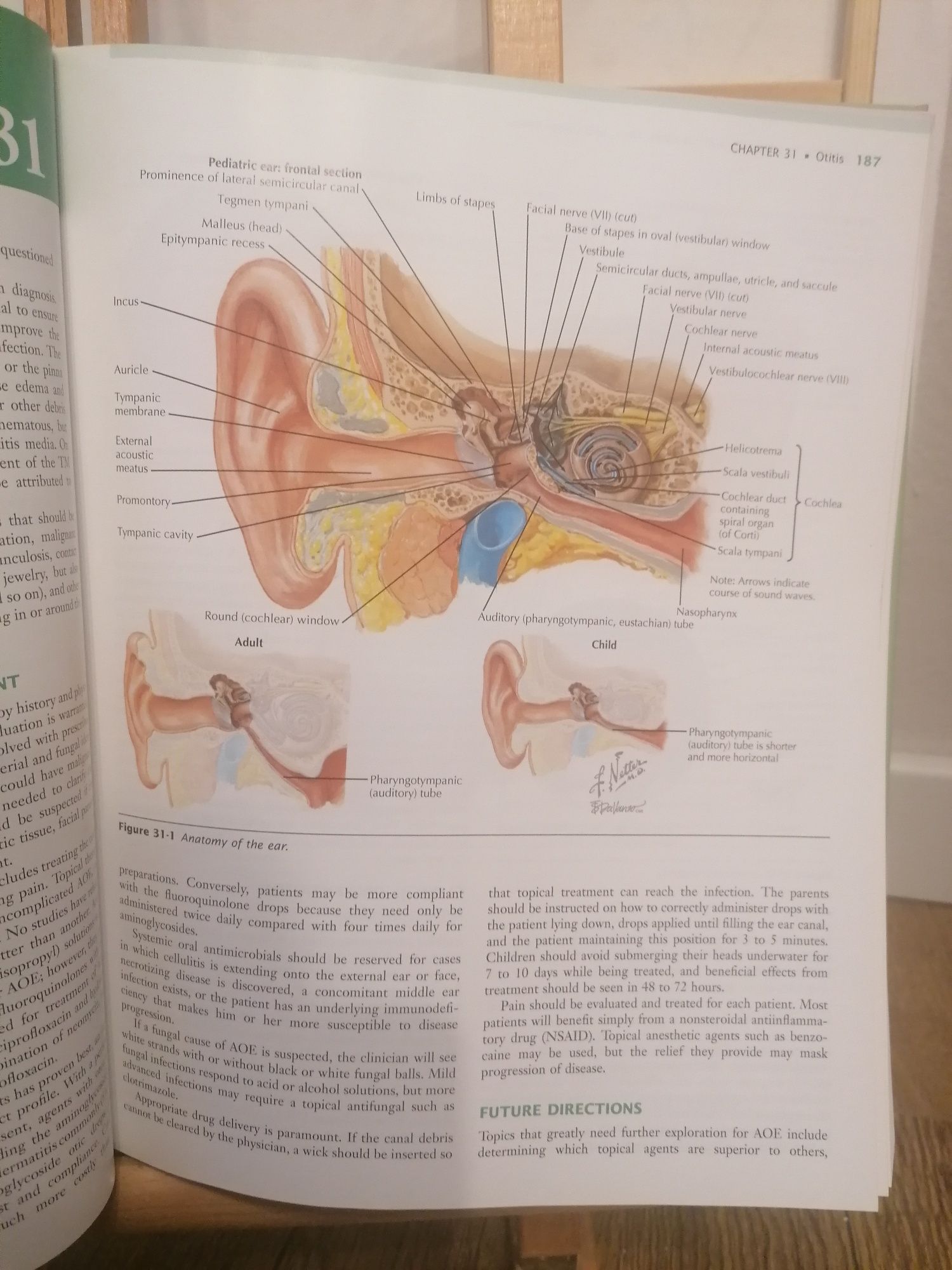 Manual medicina - Netter's  Pediatrics