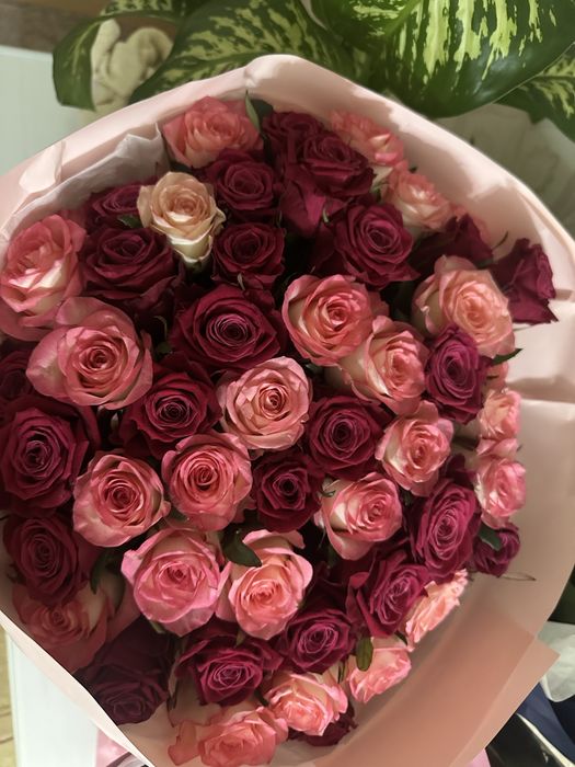 Цветы астана писать на ватсап