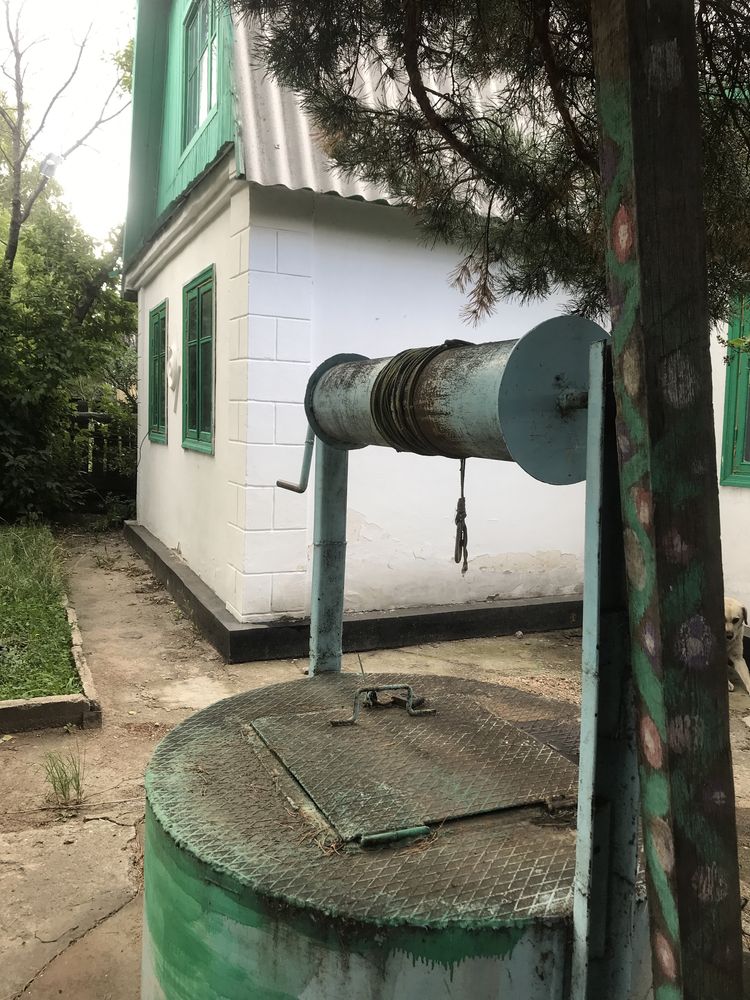 Дача как в лесу