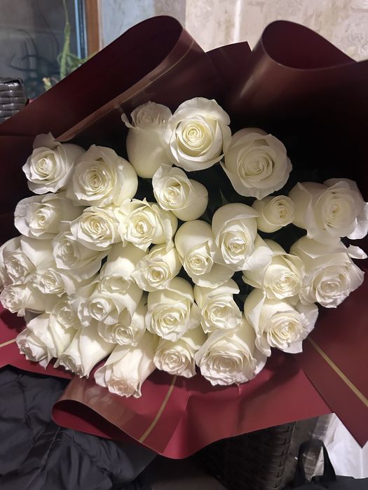 Цветы, свежие, белые розы