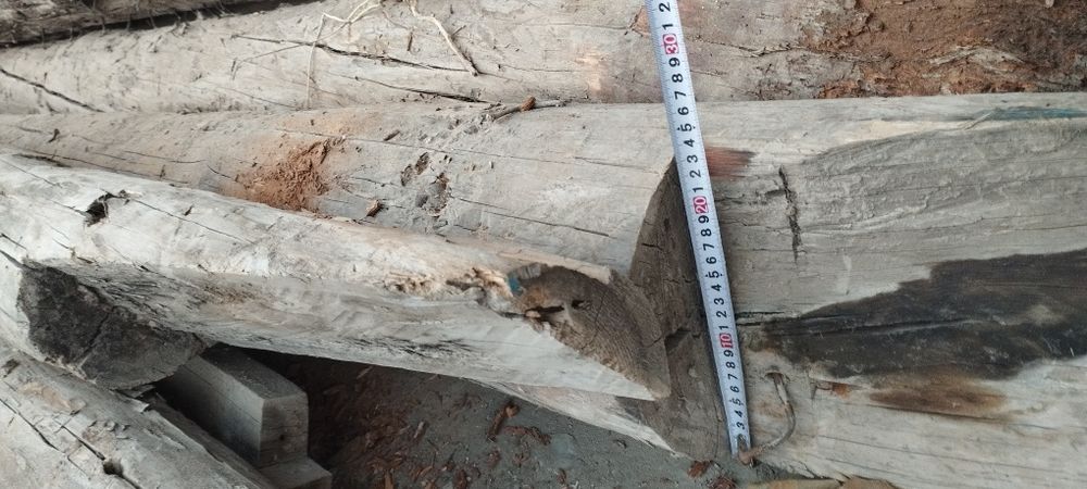 б/у borollar narxini kelishamiz