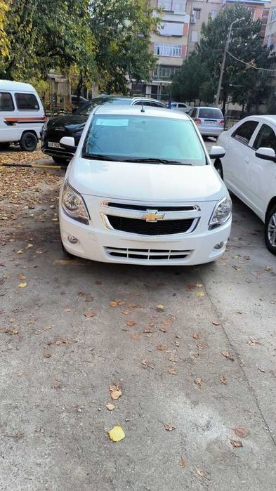 Cobalt style MCM 2026