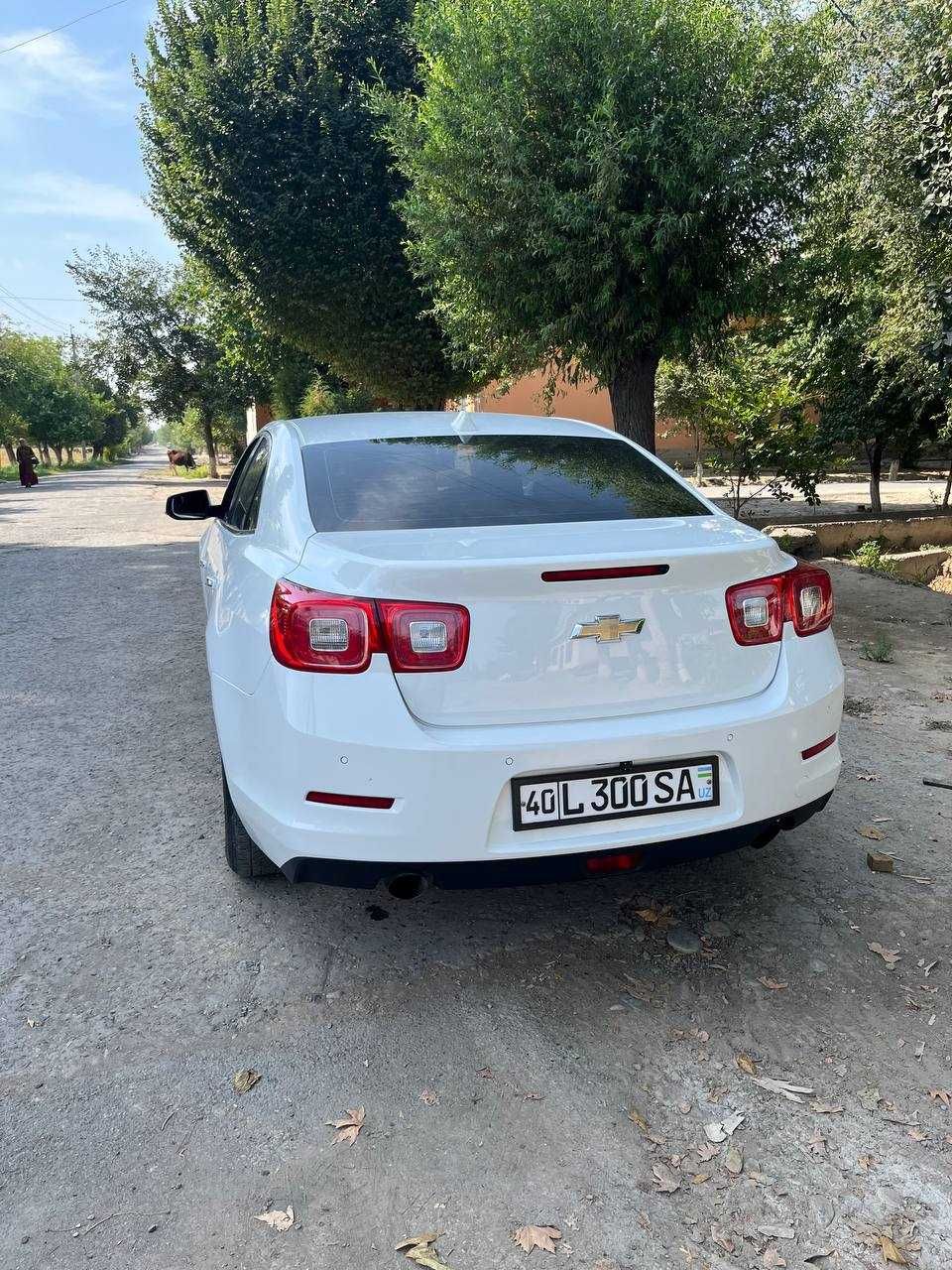 Chevrolet Malibu 1