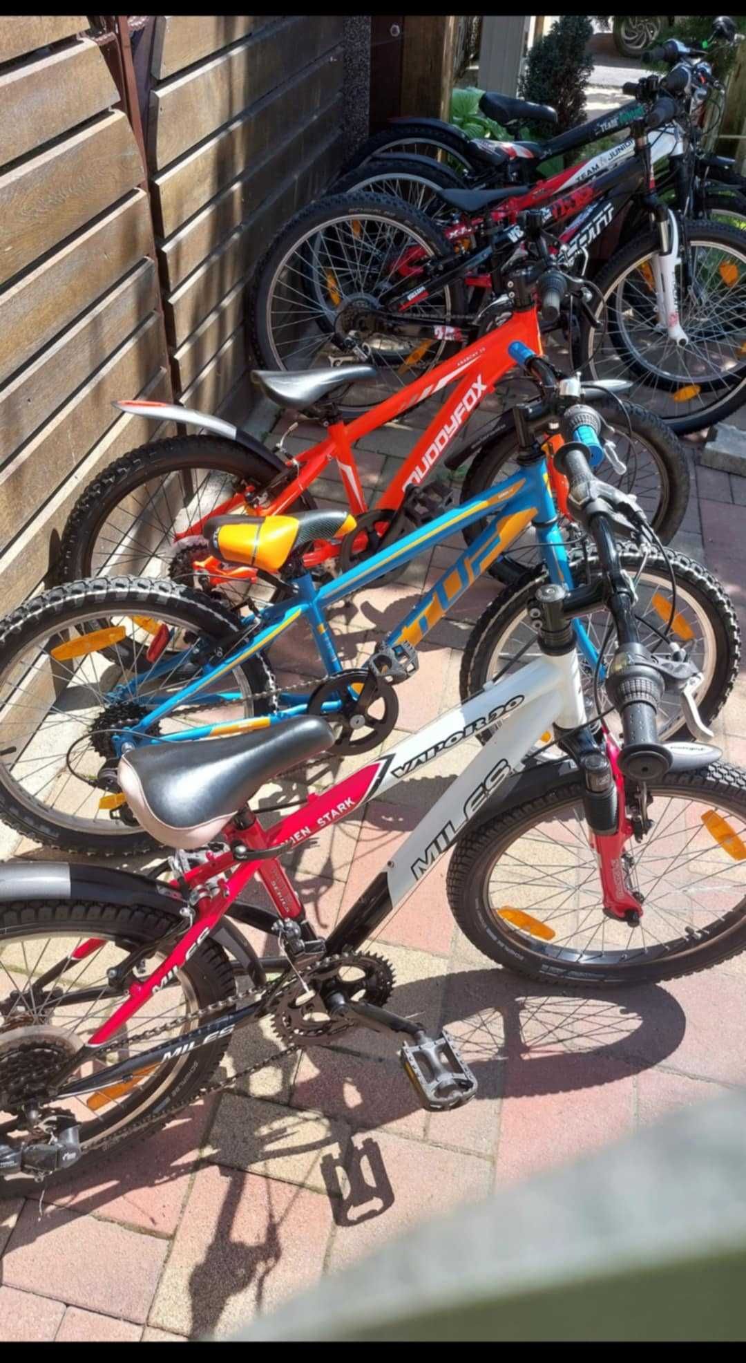 Biciclete din import