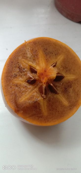 Продается хурма. Оптом. Свой огород.