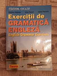 Exercitii de Gramatica Engleza