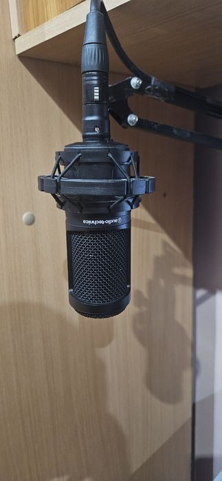 Microfon XLR AT 2020