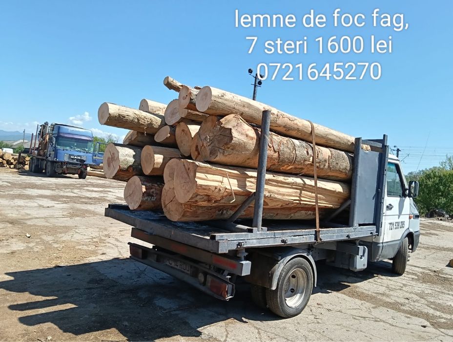 Lemn de foc fag 1600 lei-7m st