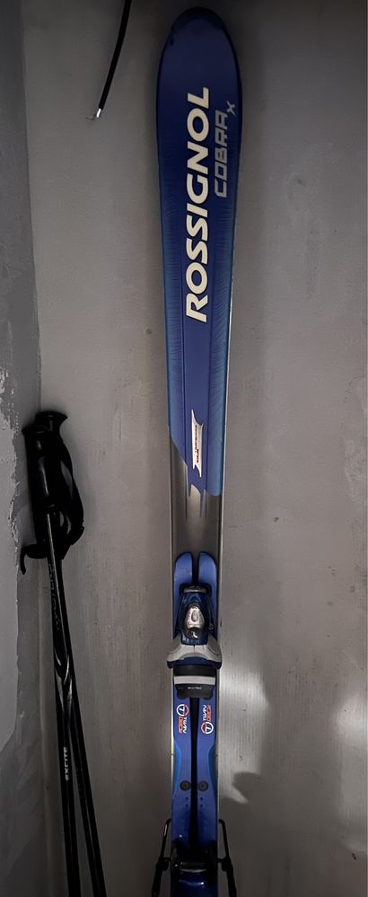 ски rossignol cobra x