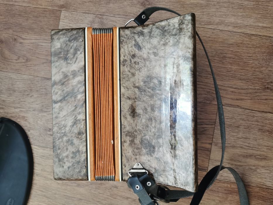 детский аккордеон МАЛЫШ