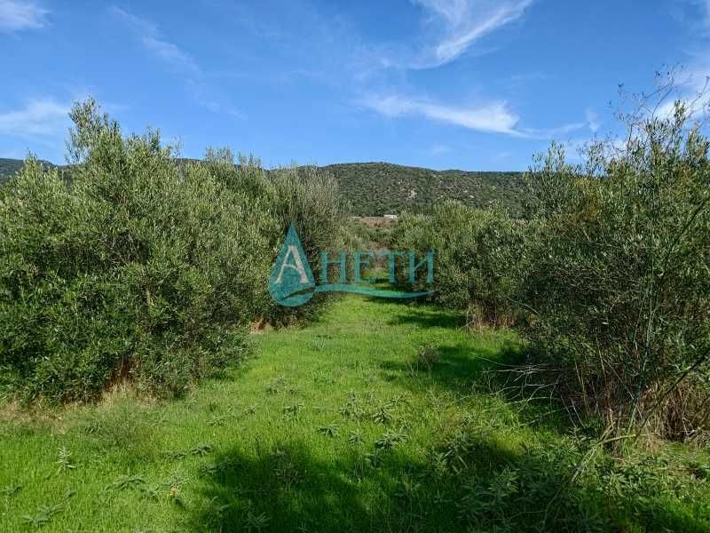 Продава се Парцел в София, Гео Милев - 2000 кв.м за 8 €/кв.м - Снимка #1