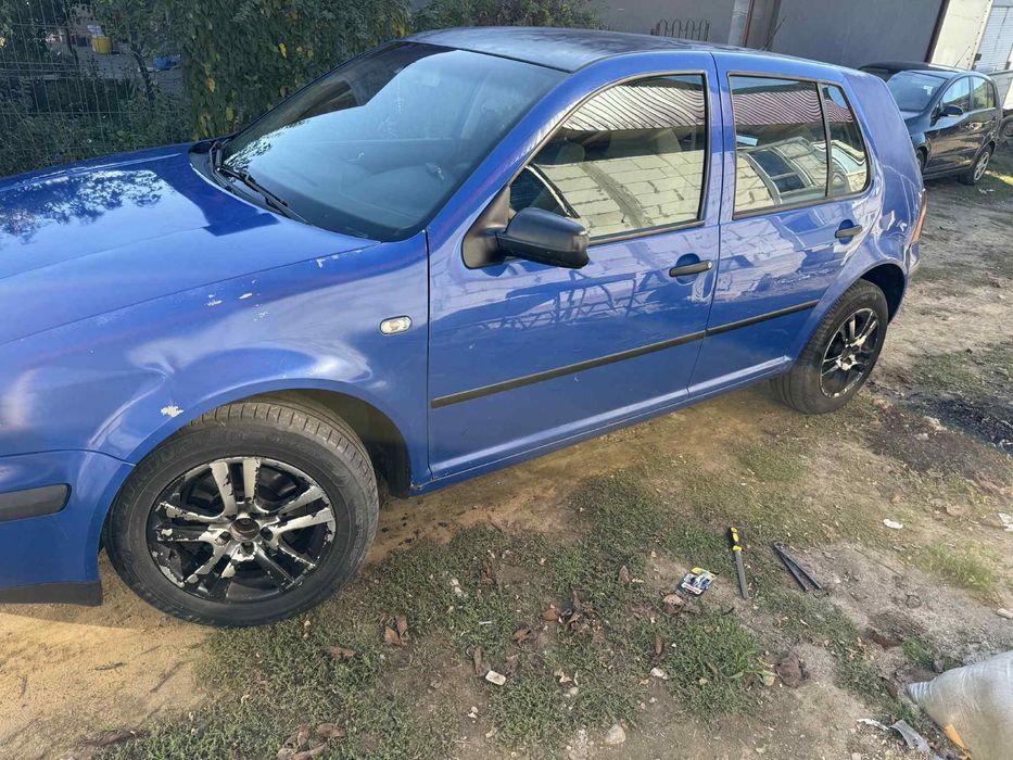 Vand sau schimb cu oi , vitei, animale