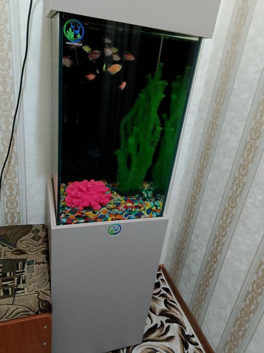 Akuarim sotiladi ichidigilari bilan