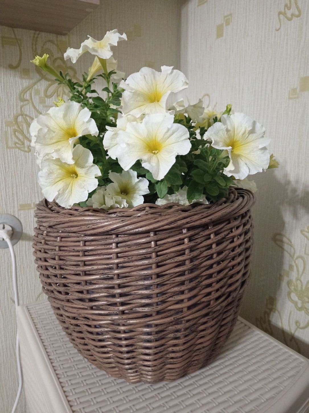 Кашпо из ротанга